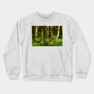 Springtime Silver Birch Crewneck Sweatshirt